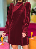 Velvet Mock Neck Long Sleeve Mini Dress