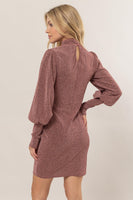 Rose Glitter Mock Neck Long Sleeve Mini Dress