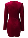 Velvet Ruched Surplice Long Sleeve Mini Dress