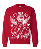 it’s not me it’s you crewneck- multi colors