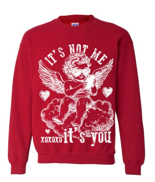 it’s not me it’s you crewneck- multi colors