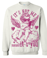 it’s not me it’s you crewneck- multi colors