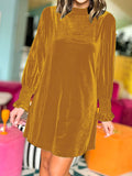 Velvet Mock Neck Long Sleeve Mini Dress