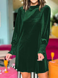 Velvet Mock Neck Long Sleeve Mini Dress